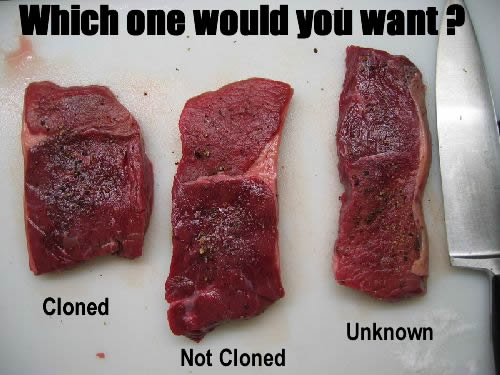 Eating cloned animal meat and cloned animal milk